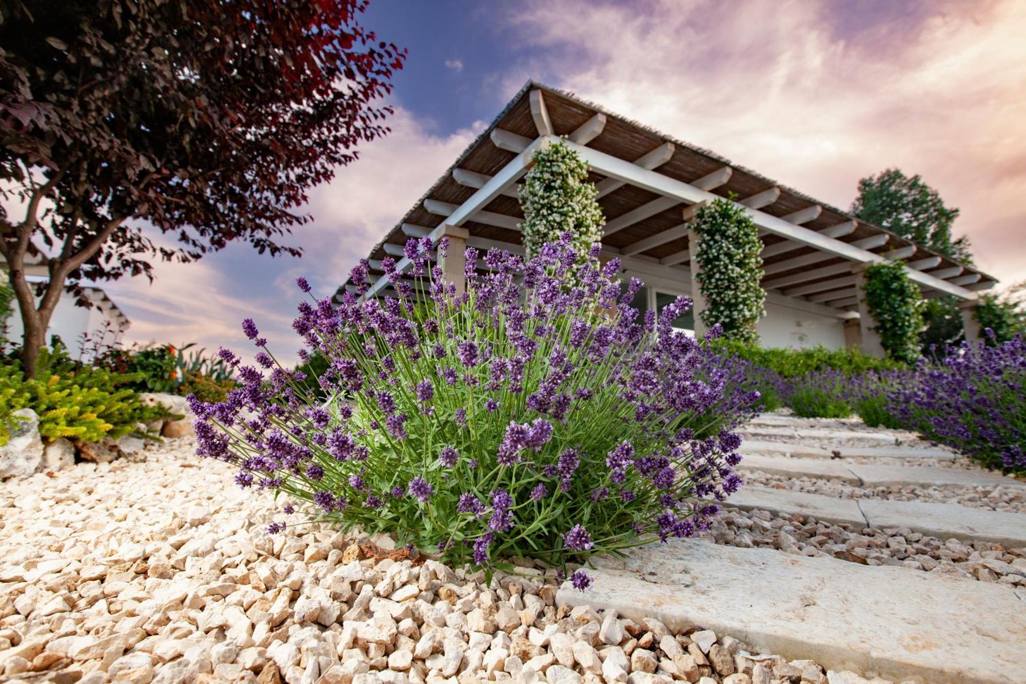 Penzion Casa Mia In Puglia Conversano Exteriér fotografie